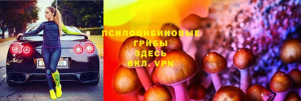 ПСИЛОЦИБИНОВЫЕ ГРИБЫ Балахна