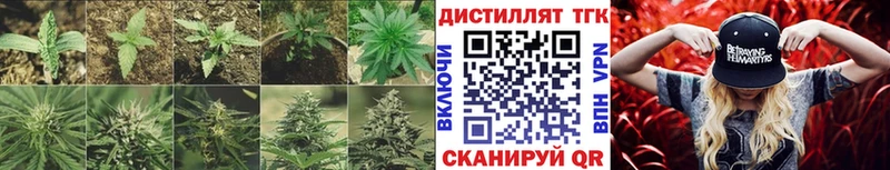 ТГК THC oil  Тутаев 