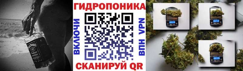 Бошки марихуана SATIVA & INDICA  Тутаев 